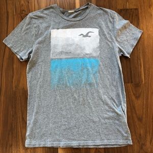 Mens Small Gray Hollister Graphic Crewneck T-Shirt